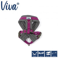Ancol - Viva Padded Harness - Lime - Small (36-42cm)