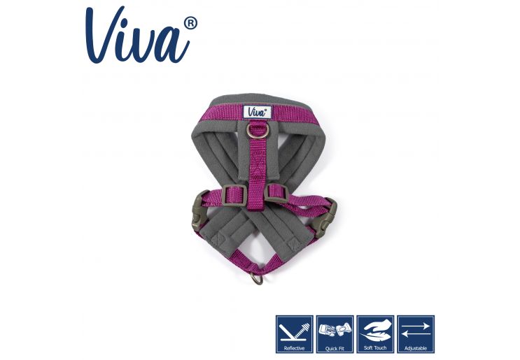 Ancol - Viva Padded Harness - Purple - Medium (41-53cm)