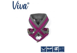 Ancol - Viva Nylon Padded Harness - Purple - Small (36-42cm)