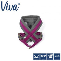 Ancol - Viva Padded Harness - Lime - Small (36-42cm)