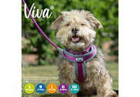 Ancol - Viva Nylon Padded Harness - Pink - XLarge (70-98cm)