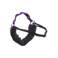 Ancol - PDL Happy at Heel Harness & Lead - Small