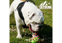 Ancol - Extreme Harness - Pink - Small
