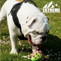 Ancol - Extreme Harness - Pink - Small