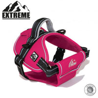 Ancol - Extreme Harness - Pink - Small