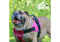 Ancol - Extreme Harness - Pink - Medium