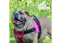 Ancol - Extreme Harness - Pink - Small
