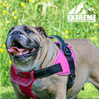 Ancol - Extreme Harness - Pink - Small