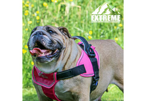 Ancol - Extreme Harness - Pink - Small