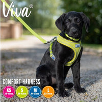 Ancol - Viva Comfort Mesh Dog Harness - Red - Small