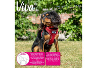 Ancol - Viva Comfort Mesh Dog Harness - Red - Large