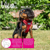 Ancol - Viva Comfort Mesh Dog Harness - Pink - X Small