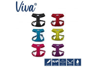 Ancol - Viva Comfort Mesh Harness - Purple - Small (34-45cm)