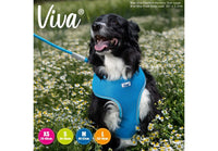 Ancol - Viva Comfort Mesh Dog Harness - Blue - Small (34-45cm)
