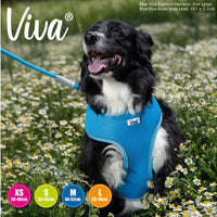 Ancol - Viva Comfort Mesh Dog Harness - Blue - Small (34-45cm)