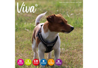 Ancol - Viva - Step-in Harness - Lime - Medium
