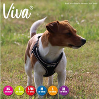 Ancol - Viva - Step-in Harness - Pink - Medium