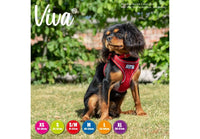 Ancol - Viva - Step-in Harness - Pink - Small/Medium
