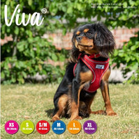 Ancol - Viva - Step-in Harness - Pink - Small/Medium
