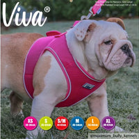 Ancol - Viva - Step-in Harness - Pink - Small/Medium