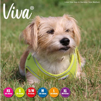Ancol - Viva - Step-in Harness - Lime - Small/Medium