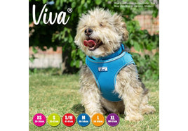 Ancol - Viva Step-in Harness - Blue - Large
