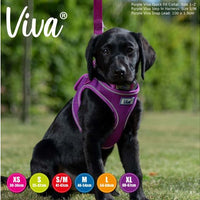 Ancol - Viva - Step-in Harness - Pink - Medium
