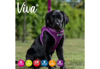 Ancol - Viva - Step-in Harness - Lime - Medium
