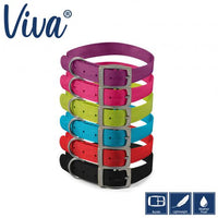 Ancol - Viva - Nylon Buckle Collar - Lime - Size 3 (28-36cm)