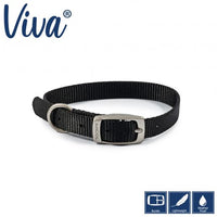 Ancol - Viva - Nylon Buckle Collar - Lime - Size 3 (28-36cm)