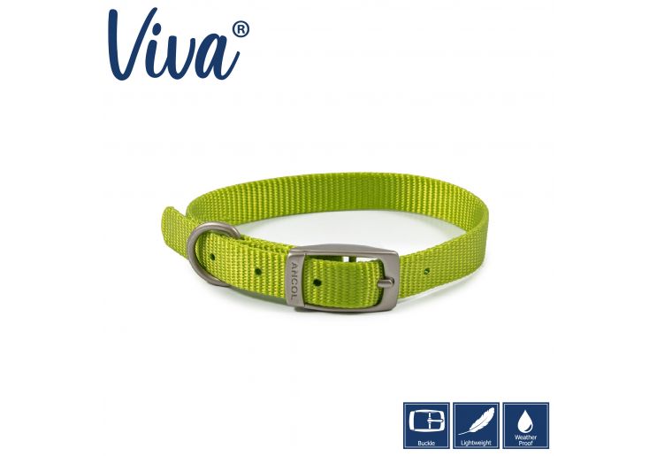 Ancol - Viva - Nylon Buckle Collar - Lime - Size 3 (28-36cm)