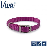 Ancol - Viva - Nylon Buckle Collar - Lime - Size 3 (28-36cm)
