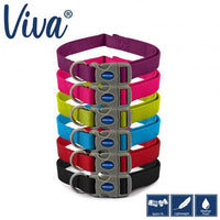 Ancol - Viva Nylon Adjustable Dog Collar - Cyan - Small (30-50cm)