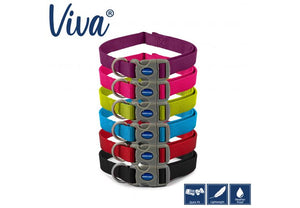 Ancol - Viva - Nylon Adjustable Collar - Blue - 45-70cm (Size 5-9)