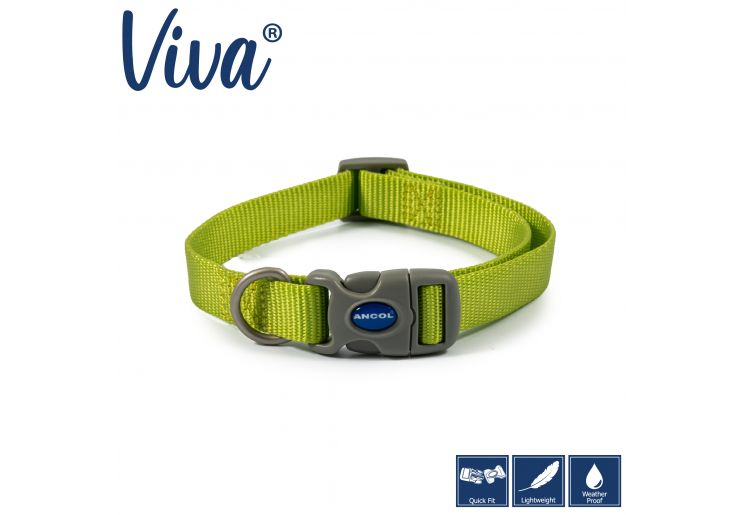 Ancol - Viva Nylon Adjustable Collar - Lime - Size 5-9 (45-70cm)