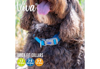 Ancol - Viva Nylon Adjustable Dog Collar - Cyan - Small (30-50cm)
