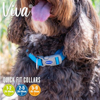 Ancol - Viva Nylon Adjustable Dog Collar - Cyan - Small (30-50cm)