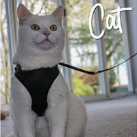 Ancol - Soft Cat Harness - Black - Large