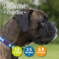 Ancol - Adjustable Patterned Collar - Red Paw & Bone - Size 1-2 (20-30cm)