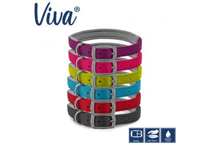 Ancol - Viva Padded Buckle Dog Collar - Lime (Hi vis) - 50-59cm (Size 7)