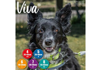 Ancol - Viva Padded Buckle Dog Collar - Red - 50-59cm (Size 7 - 24")
