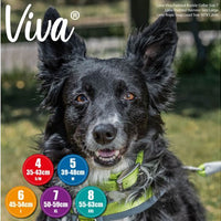Ancol - Viva Padded Buckle Dog Collar - Lime (Hi vis) - 50-59cm (Size 7)