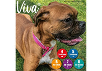 Ancol - Viva Padded Buckle Dog Collar - Black - 55-65cm (Size 7 - 24")
