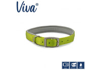Ancol - Viva Nylon Padded Buckle Collar - Lime - Size 8 (55-63cm)