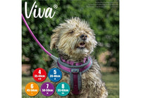 Ancol - Viva Padded Buckle Dog Collar - Purple - 45-54cm (Size 6)
