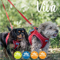 Ancol - Viva Padded Snap Lead - Lime - 1mX12mm