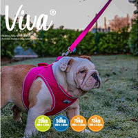Ancol - Viva Padded Snap Lead - Lime - 1mX12mm