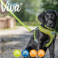 Ancol - Viva Padded Snap Lead - Lime - 1mX12mm