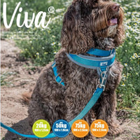 Ancol - Viva Padded Snap Lead - Lime - 1mX12mm