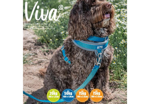 Ancol - Viva Padded Snap Lead - Lime - 1mX12mm